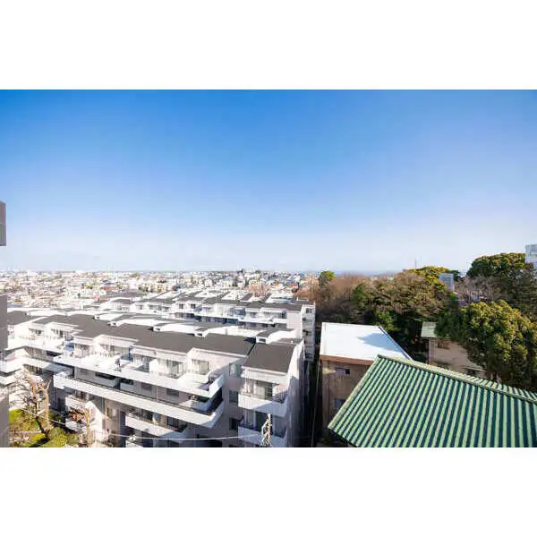 ルピナス山手 その他画像