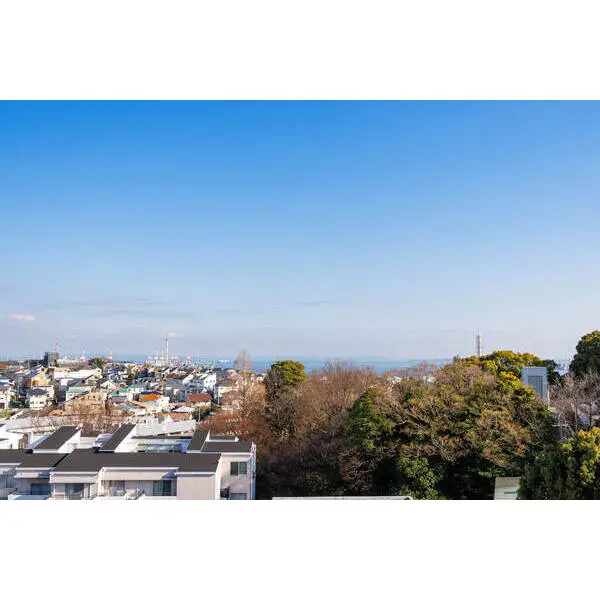 ルピナス山手 その他画像