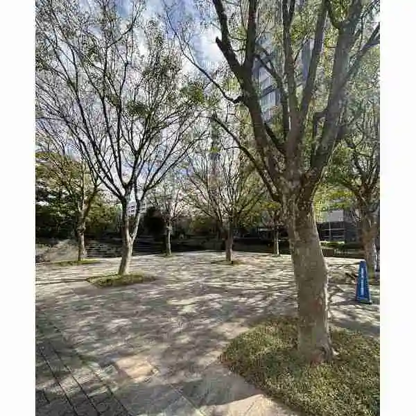 ザ・センター東京 その他画像