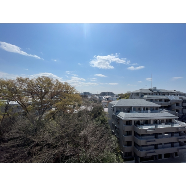 オーベル志木柳瀬川 バルコニーからの眺望（南東側）