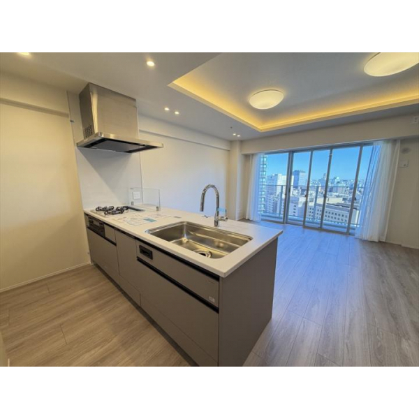 ブリリアタワー川崎 その他画像