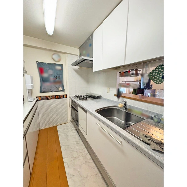 ルネプライディア その他画像