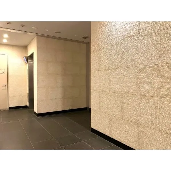 日神デュオステージ浅草松が谷 落ち着いた雰囲気のエントランスホール