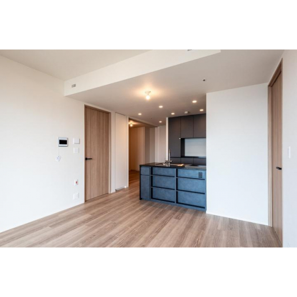 ＨＡＲＵＭＩ　ＦＬＡＧ　ＳＵＮ　ＶＩＬＬＡＧＥ　Ｔ棟 その他画像