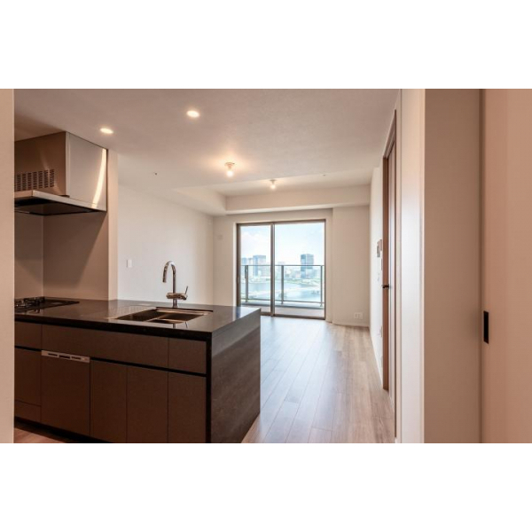 ＨＡＲＵＭＩ　ＦＬＡＧ　ＳＵＮ　ＶＩＬＬＡＧＥ　Ｔ棟 その他画像