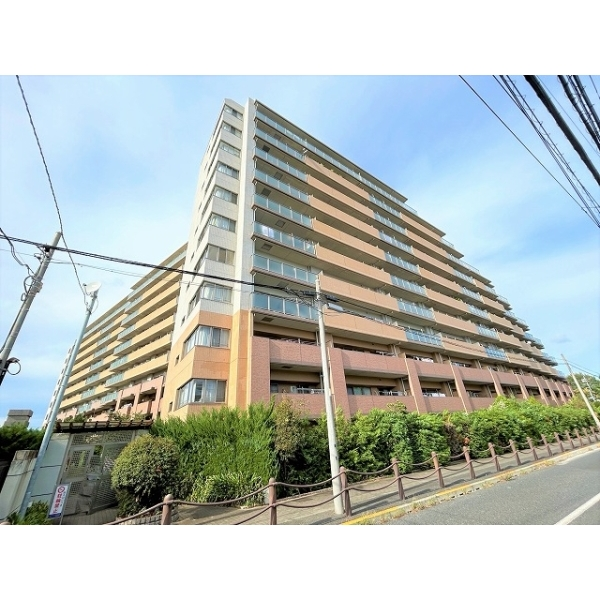 ルイシャトレひばりヶ丘ラスティパーク 外観