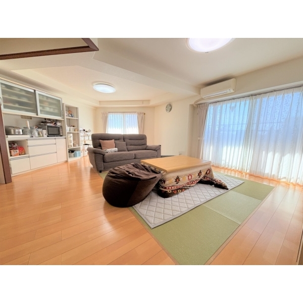 ダイアパレス三国ヶ丘 その他画像