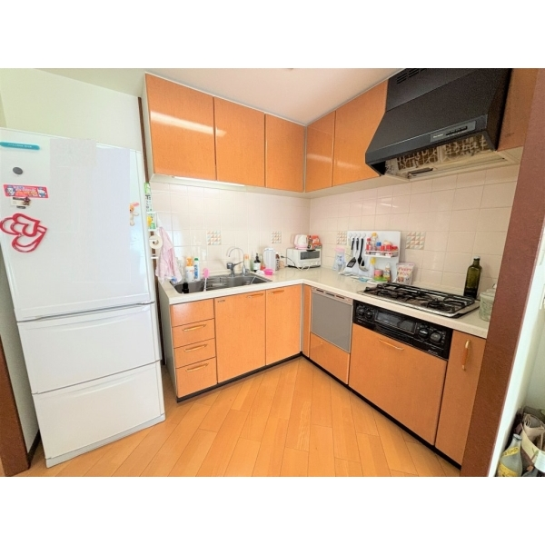 ダイアパレス三国ヶ丘 その他画像