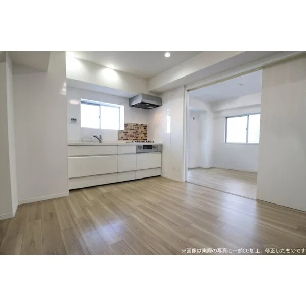 ラビエ川崎壱番館 その他画像