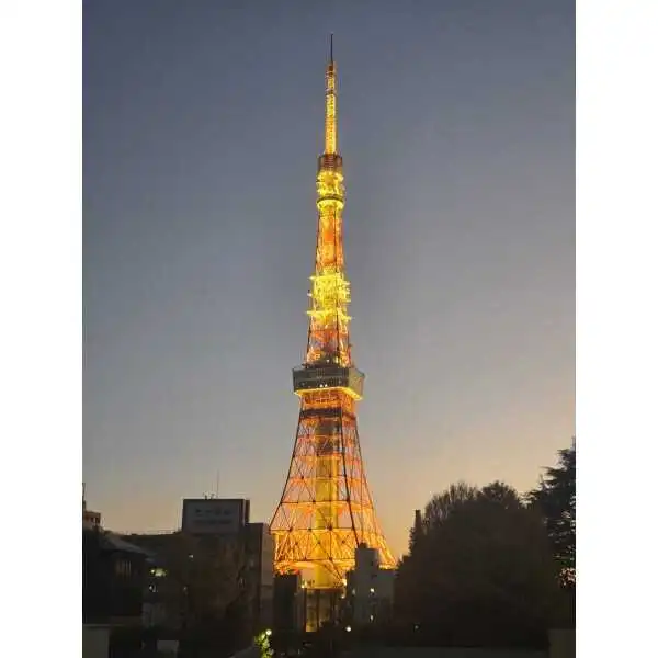 ウェリスタワー愛宕虎ノ門 その他画像