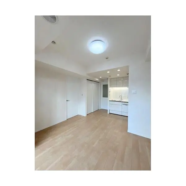 セントラルレジデンス新宿シティタワー その他画像