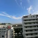 ライオンズマンション高砂 その他画像