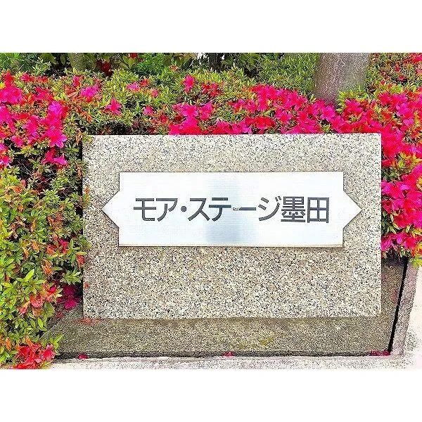 モアステージ墨田 その他画像