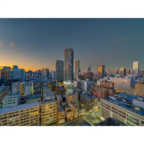 パークタワー勝どき　ミッド その他画像