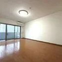 日神デュオステージときわ台 洋室　アウトポール工法のため家具の配置がしやすいです。
