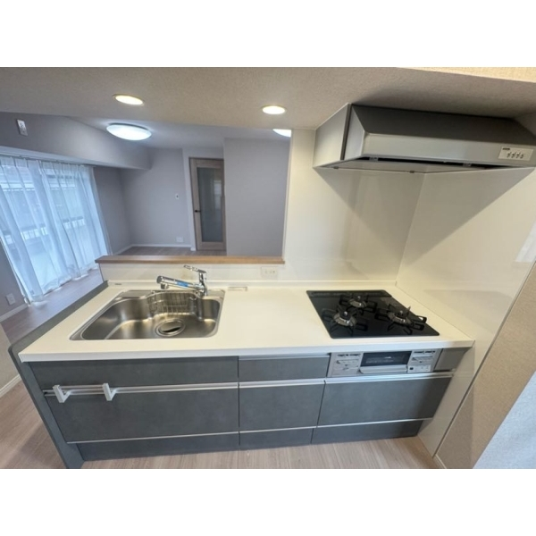 ライオンズマンション東白壁 その他画像