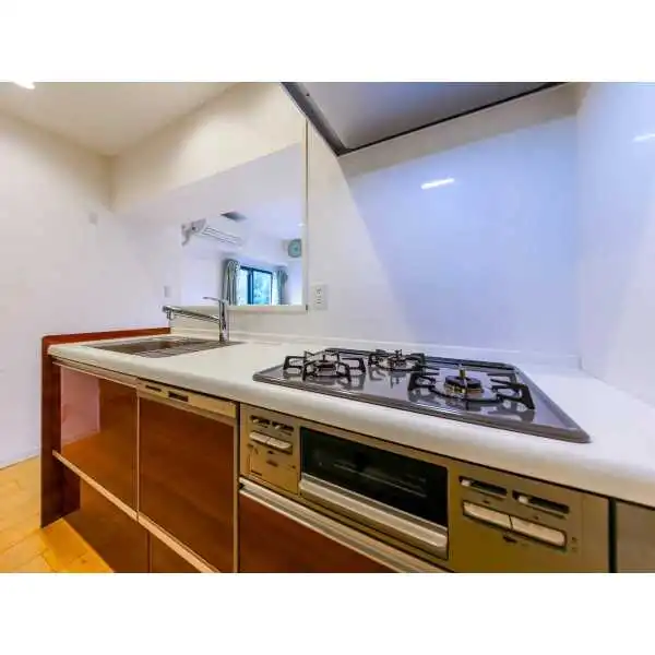 ライオンズマンション駒場 その他画像