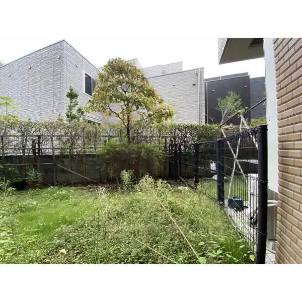 テラス早宮 その他画像