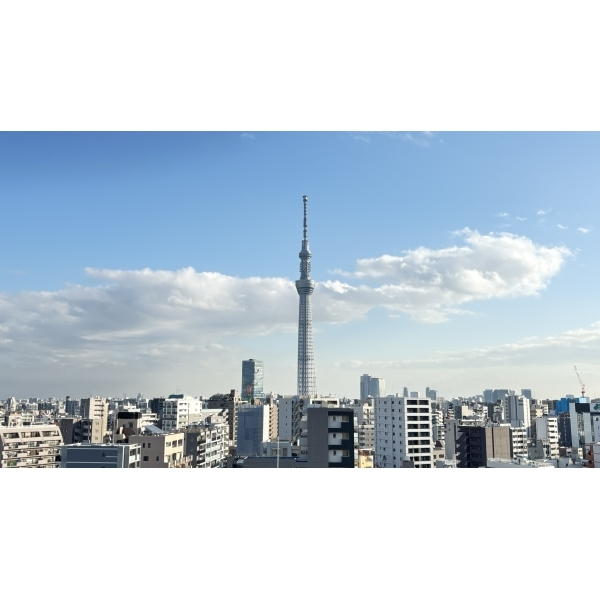 ヴェレーナ浅草 その他画像