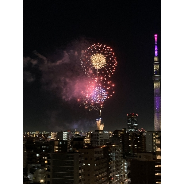 ヴェレーナ浅草 その他画像