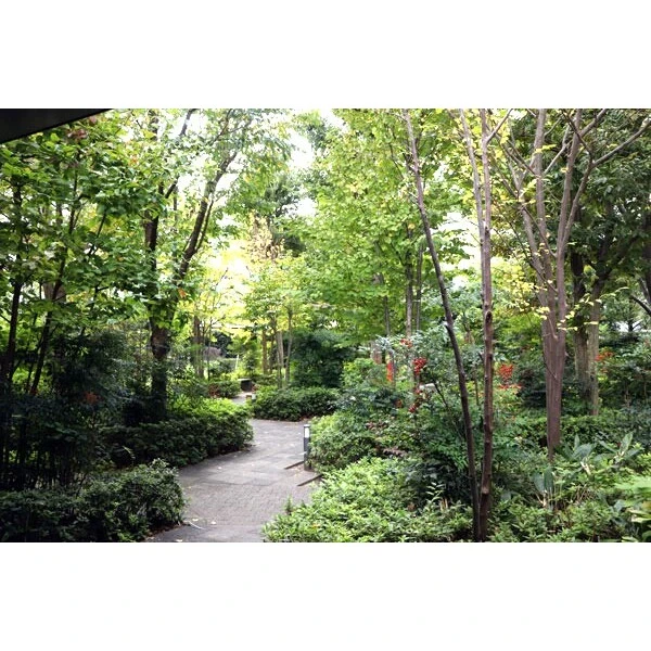 オーベルグランディオ柏　桜ヴィラ その他画像