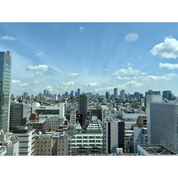 アトラスタワー五反田 その他画像