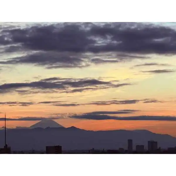 アトラスタワー五反田 その他画像