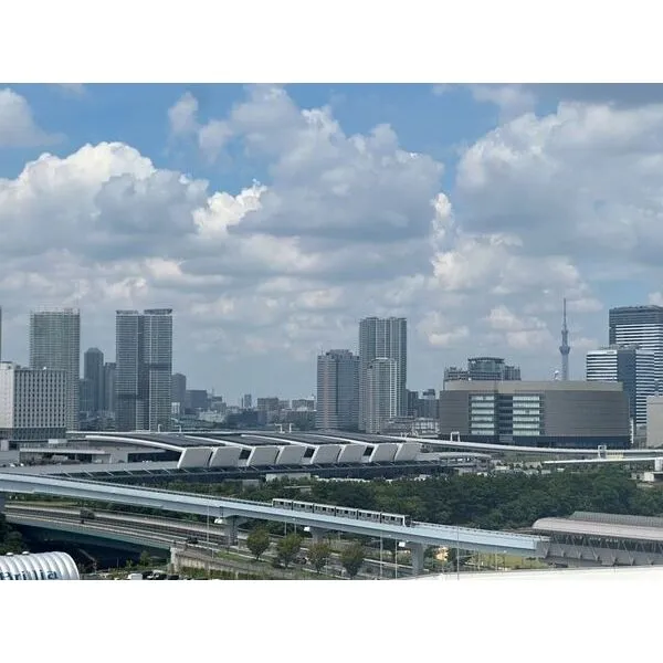 ブリリアマーレ有明タワー＆ガーデン バルコニーからは東京スカイツリーや、豊洲方面を望みます（天候による）