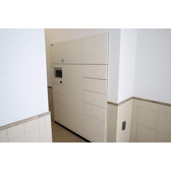 エルズ藤沢 その他画像