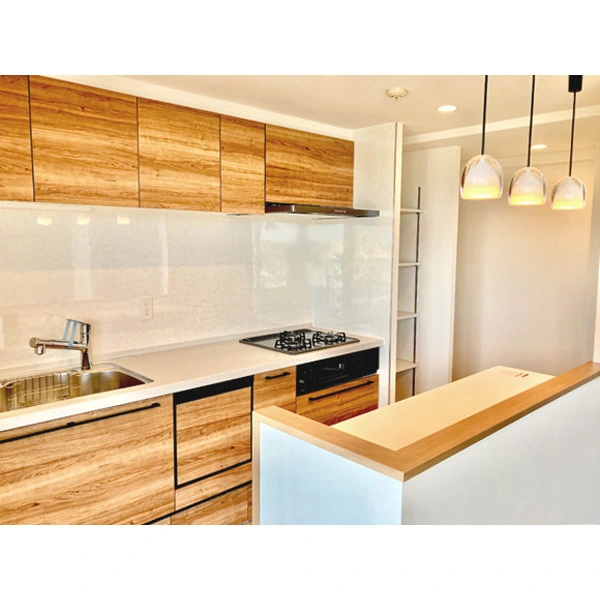 オーベルグランディオ湘南平塚 その他画像