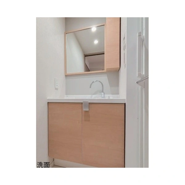 ヴィンテージ南阿佐ヶ谷 洗面室