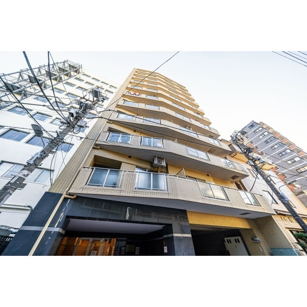 ドメイン入谷ステーションプラザ 外観