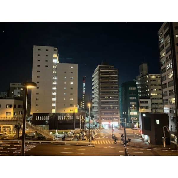 ドメイン入谷ステーションプラザ その他画像