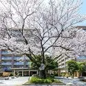深大寺レジデンスF 植栽豊かなランドプランが憩いを演出します