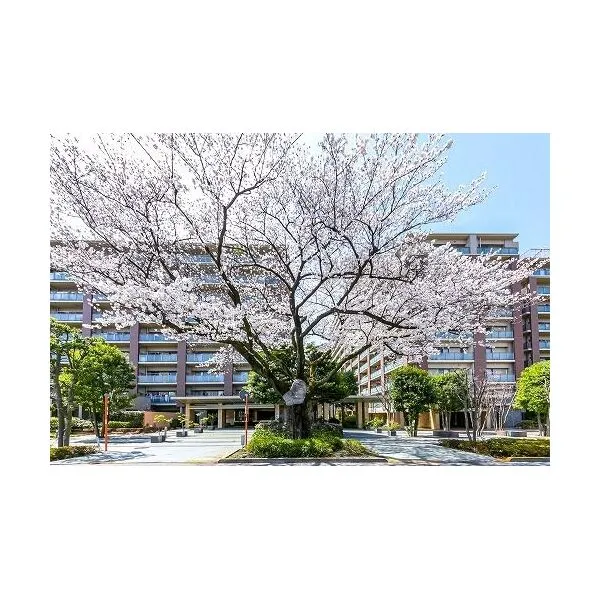 深大寺レジデンスF 植栽豊かなランドプランが憩いを演出します