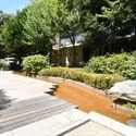 深大寺レジデンスF マンション内は植栽豊かです