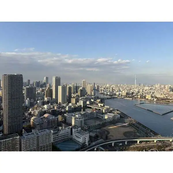 ザ・パークハウス晴海タワーズティアロレジデンス その他画像