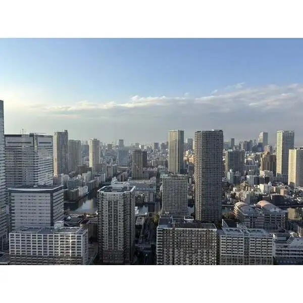 ザ・パークハウス晴海タワーズティアロレジデンス その他画像