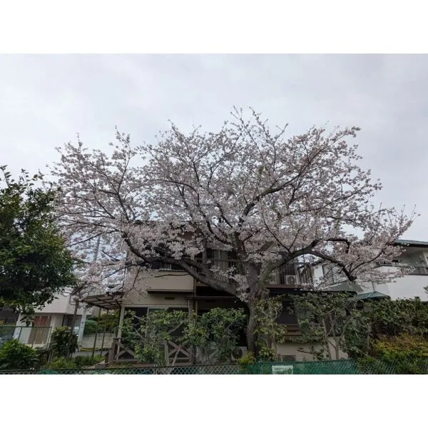 茅ヶ崎市松が丘２丁目 外観