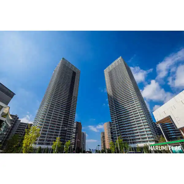 ＨＡＲＵＭＩ　ＦＬＡＧ　ＰＡＲＫ　ＶＩＬＬＡＧＥ 外観