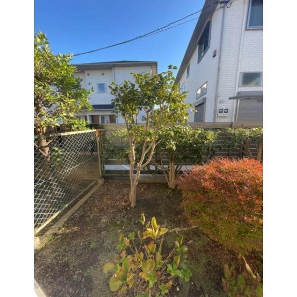横浜市青葉区市ケ尾町 現況 庭 （ご参考）