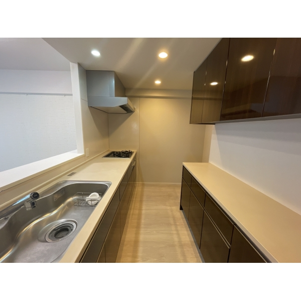 ウエリス浦和美園サウステラス 家具・調度品は価格に含まれません。