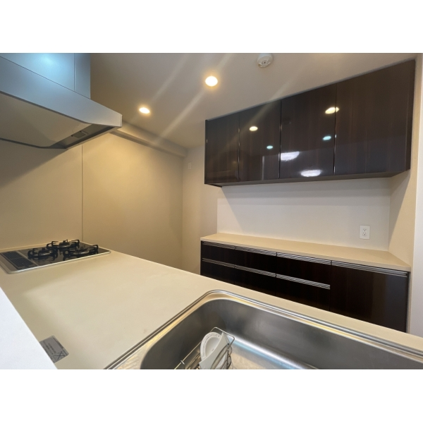 ウエリス浦和美園サウステラス 家具・調度品は価格に含まれません。