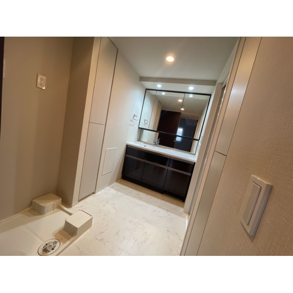 ウエリス浦和美園サウステラス 洗面室