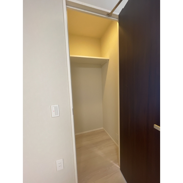 ウエリス浦和美園サウステラス 納戸