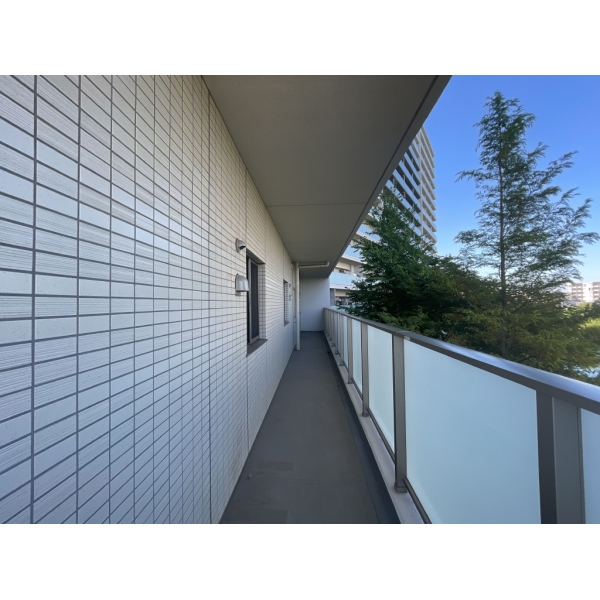 ウエリス浦和美園サウステラス 北東側。