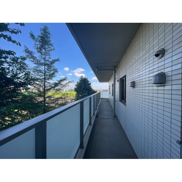 ウエリス浦和美園サウステラス 北東側。