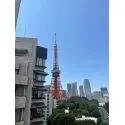 ブランズ東麻布 バルコニーからの眺望　（眺望は永続的に保証するものではありません）