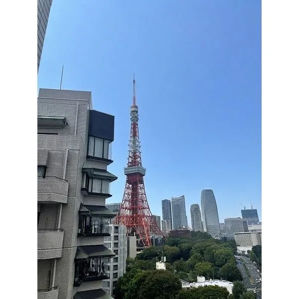 ブランズ東麻布 バルコニーからの眺望　（眺望は永続的に保証するものではありません）