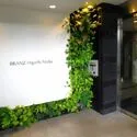 ブランズ東麻布 風除室